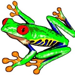 The Poison Tree Frog