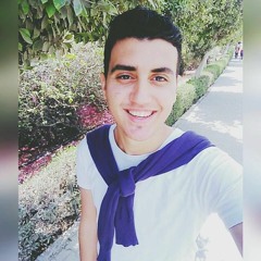 mohamed mostafa 2242002