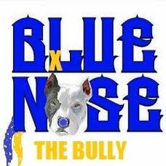 BLUENOSE THA BULLY