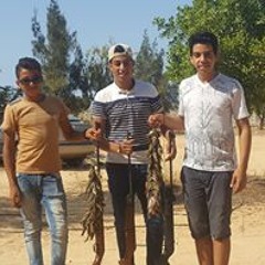 عصام الدرايسي الدرايسي