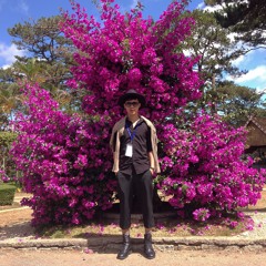 Hoang Anh Phung Khac