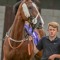 Jack Cross