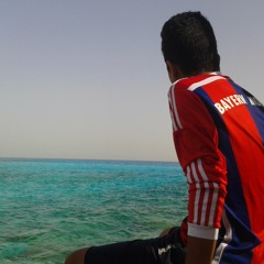 Mahmoud Elmahdy
