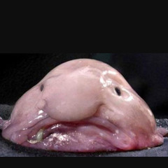 Blobby The Fish