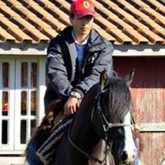 Paulo Alexandre