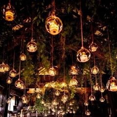 Discover the endless magic that lives within