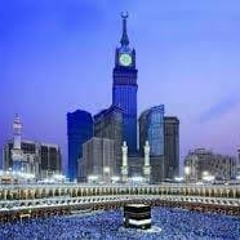 علاء قناوى