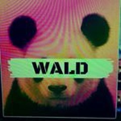 WALD Music