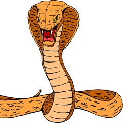 UMINA COBRAS
