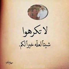محمد عثمان الطيب