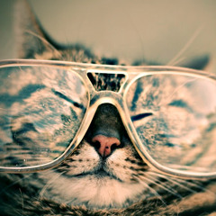 Mr. Piewq