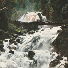 NICHT RIO [Grand Chahut Collectif]