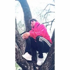 Brandon Tapia(Dj Oppit)
