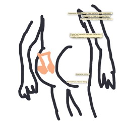 PPP - Prekäre Popmusik Produktion