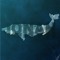 JORAN