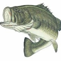 fisherman will