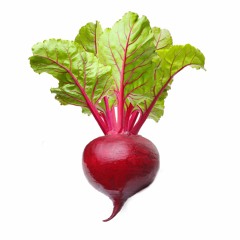 White Boiz in da Club