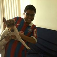 Pedro Henrique Cerqueira