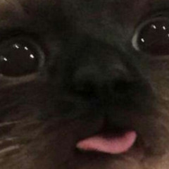 Wafflesz