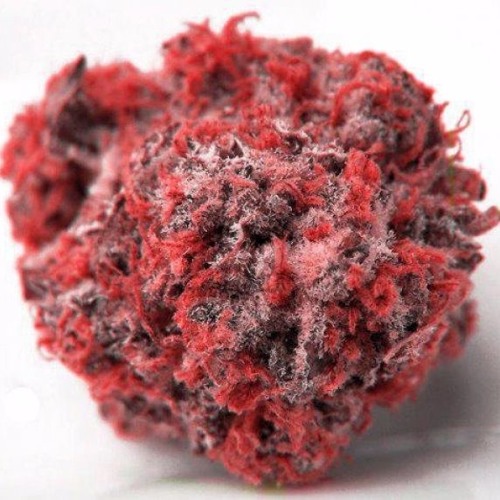red weed