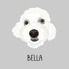 bella the dog