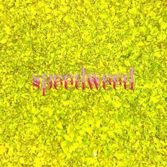 Speedweed