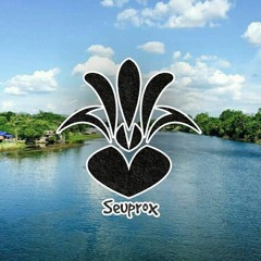 Thùy Chi - Mình Cùng Nhau Đóng Băng ( Seuprox Remix )