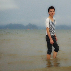 chung nguyễn