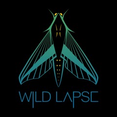 Wild Lapse
