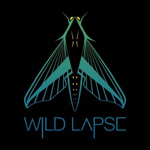 Wild Lapse’s avatar