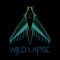 Wild Lapse