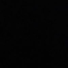 Roro El-Animal Comelon