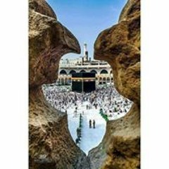 حبيبى ❤