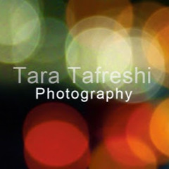 Tara Tafreshi