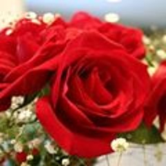user824023495