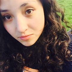 gabriela guerra aranibar