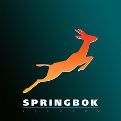 Springbok Records