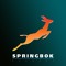 Springbok Records
