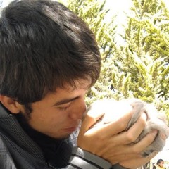 Rodrigo Nuñez