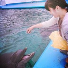 尾崎明日香 S Stream