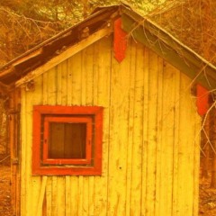 2 Brothers In a Shed