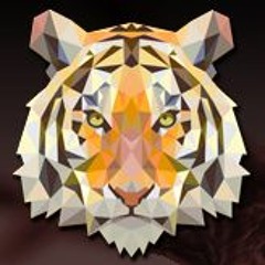 Provision Records | Daniel