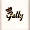 Gully