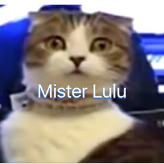 Mister Lulu