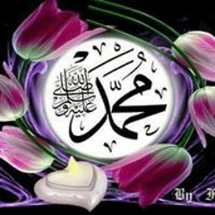 Salwa Ansary