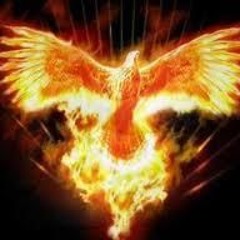 Davyd Emmerson Alcântara