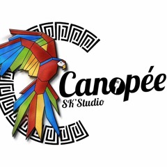 Canopée - SK'Studio
