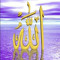 User 3836106