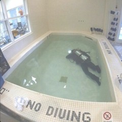 -Rebellious Diver Named Tom-