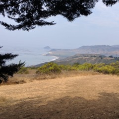 Flint (For the Unemployed & Underpaid)